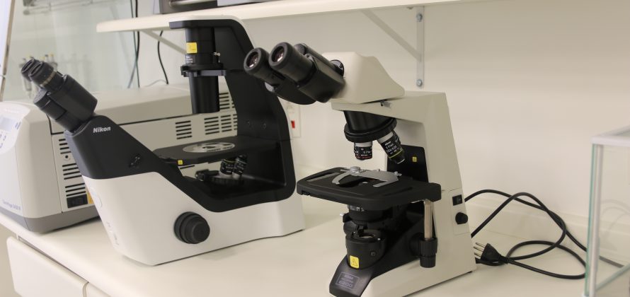 Instituto PENSI recebe habilitação para realizar testes diagnósticos de Covid-19