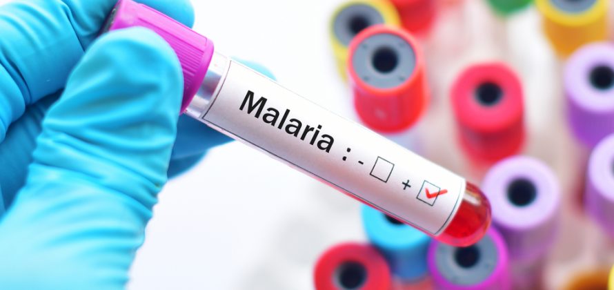 Uma grande vitória contra a malária com a ajuda da Filantropia
